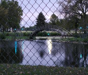 NDSD/RC Pond Blue Light Challenge for the International Deaf Awareness