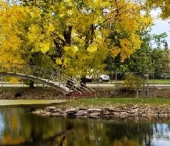 fall leaves at Driggs Bridge